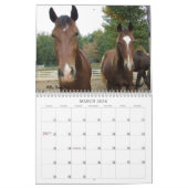 Agenda 2013 voor bergpaarden kalender (Mar 2026)