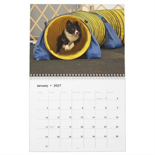 Agenda 2013 voor de kantelen van de zee kalender (Jan 2027)