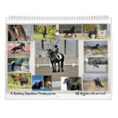 Agenda 2013 voor Friesian Horse Colossal Kalender (Achterkant)