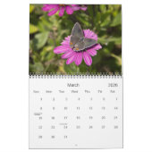 Agenda 2013 - Wings Kalender (Mar 2026)