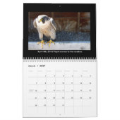 Agenda 2014 - Belangrijkste Afbeeldingen Kalender (Mar 2027)