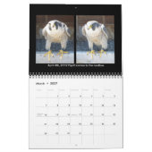 Agenda 2014 - Belangrijkste cursus Kalender (Mar 2027)