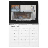 Agenda 2014 - Belangrijkste cursus Kalender (Feb 2026)