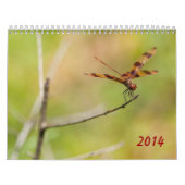 Agenda 2014 Dragonfly en Damselfly Kalender (Hoes)