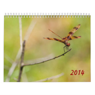 Agenda 2014 Dragonfly en Damselfly Kalender