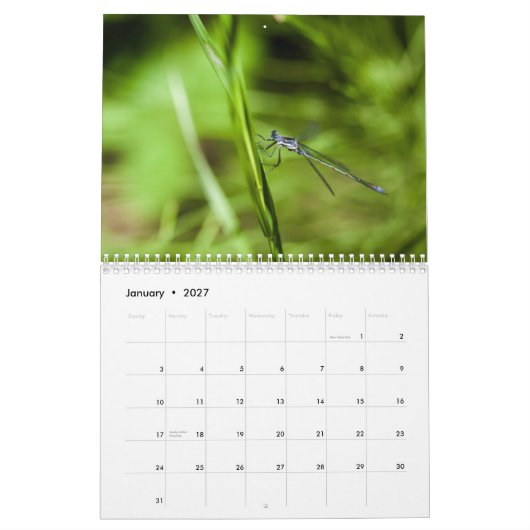 Agenda 2014 Dragonfly en Damselfly Kalender (Jan 2027)