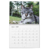 Agenda 2014-hoeken kalender (Mar 2027)