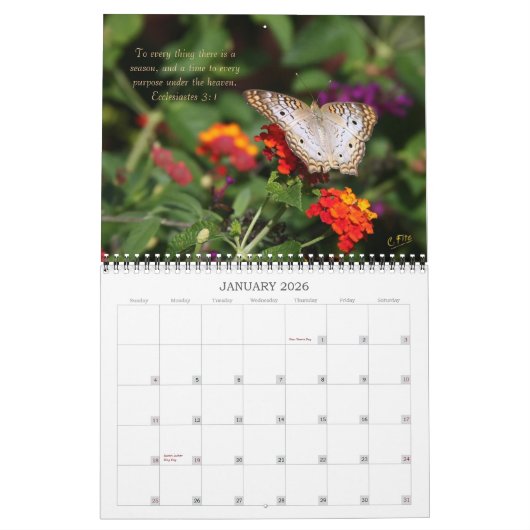 Agenda 2014-inspiratie - Butterflies Kalender (Jan 2026)