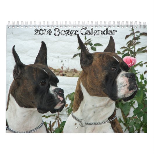 Agenda 2014 kalender (Hoes)