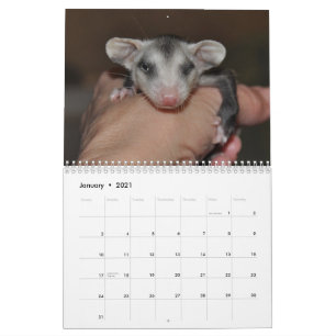 Agenda 2014 - Possum Babies Kalender