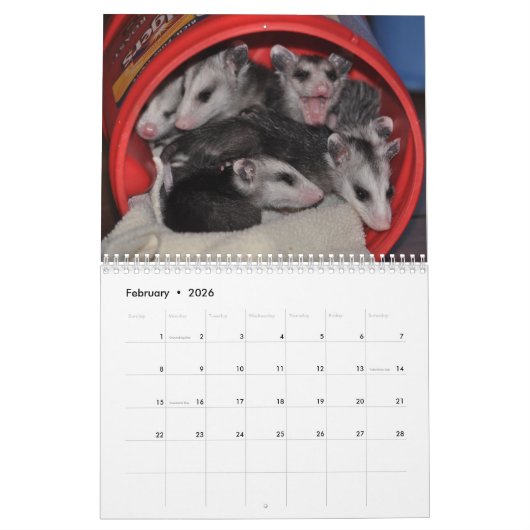 Agenda 2014 - Possum Babies Kalender (Feb 2026)