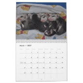 Agenda 2014 - Possum Babies Kalender (Mar 2027)