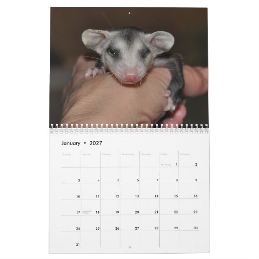 Agenda 2014 - Possum Babies Kalender (Jan 2027)