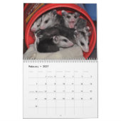Agenda 2014 - Possum Babies Kalender (Feb 2027)