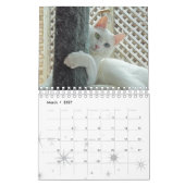 Agenda 2014 van de Dienst Kalender (Mar 2027)