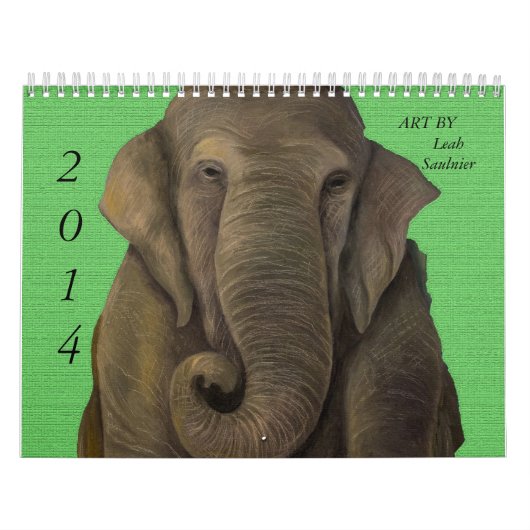 Agenda 2014 van Leah Saulnier Kalender (Hoes)