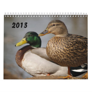 Agenda 2014 van Mallard Ducks Sportsmen Kalender