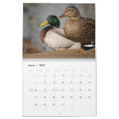 Agenda 2014 van Mallard Ducks Sportsmen Kalender (Mar 2027)