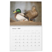 Agenda 2014 van Mallard Ducks Sportsmen Kalender (Jan 2027)