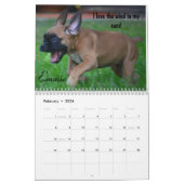 Agenda 2014 van Troop Boxer Kalender (Feb 2026)
