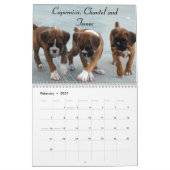 Agenda 2014 voor Boxer Puppy Kalender (Feb 2027)