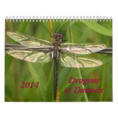 Agenda 2014 voor de bellen en de Damselflies Kalender (Hoes)