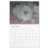 Agenda 2014 voor Siberische katten en Kittens Kalender (Mar 2026)