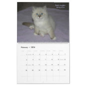 Agenda 2014 voor Siberische katten en Kittens Kalender (Feb 2026)
