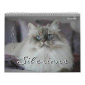 Agenda 2014 voor Siberische katten en Kittens Kalender (Hoes)