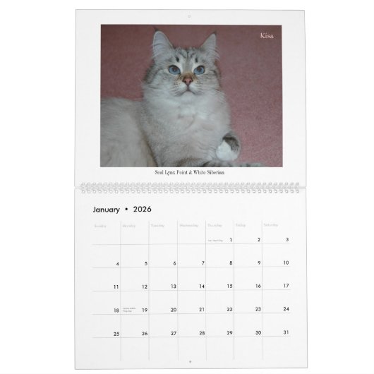 Agenda 2014 voor Siberische katten en Kittens Kalender (Jan 2026)