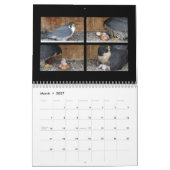 Agenda 2015 - Belangrijkste cursus Kalender (Mar 2027)