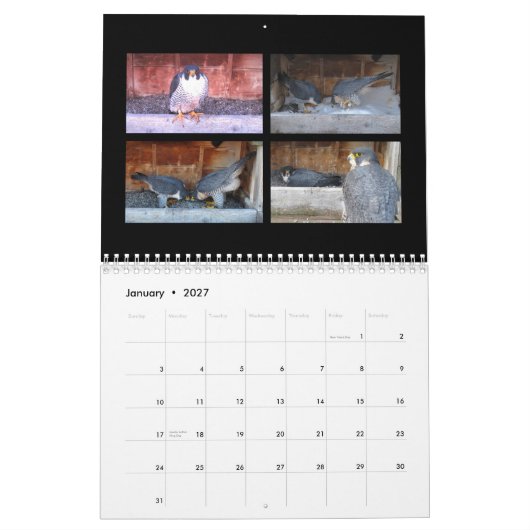 Agenda 2015 - Belangrijkste cursus Kalender (Jan 2027)