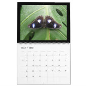 Agenda 2015 kalender (Mar 2026)