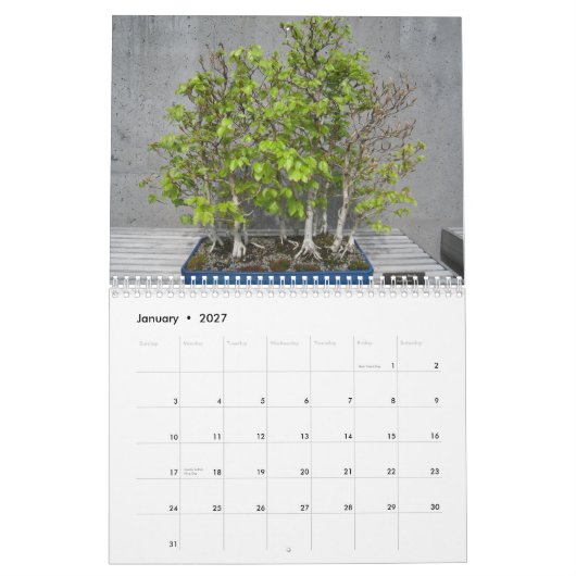 Agenda 2015 met Bonsai Kalender (Jan 2027)