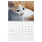 Agenda 2015 met Feestdagen - Katten Kalender (Mar 2027)