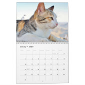 Agenda 2015 met Feestdagen - Katten Kalender (Jan 2027)