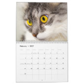 Agenda 2015 met Feestdagen - Katten Kalender (Feb 2027)