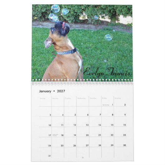 Agenda 2015 overschrijven kalender (Jan 2027)
