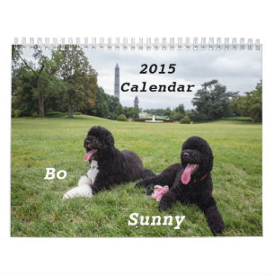 Agenda 2015 van Bo en Sunny Kalender