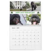 Agenda 2015 van Bo en Sunny Kalender (Mar 2027)