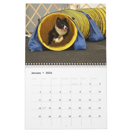 Agenda 2015 van de Bewakingsagenda van de Band Kalender (Jan 2026)