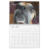 Agenda 2015 van senior boxer kalender (Mar 2027)