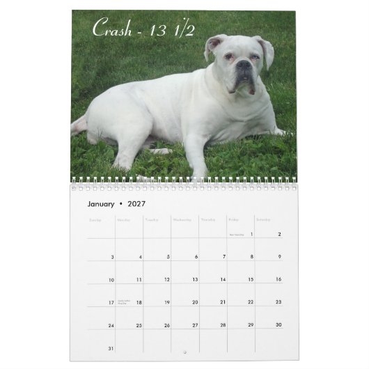 Agenda 2015 van senior boxer kalender (Jan 2027)