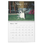 Agenda 2015 van senior boxer kalender (Feb 2027)