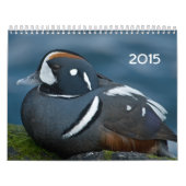 Agenda 2015 voor vrachtwagens kalender (Hoes)