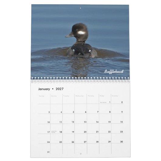 Agenda 2015 voor vrachtwagens kalender (Jan 2027)