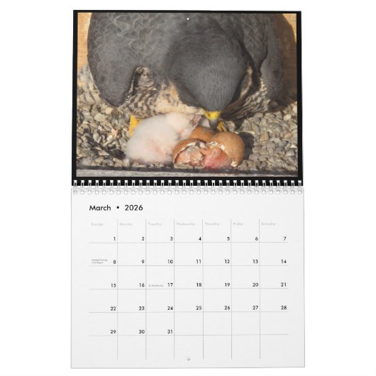 Agenda 2016 - Belangrijkste cursus Kalender (Mar 2026)