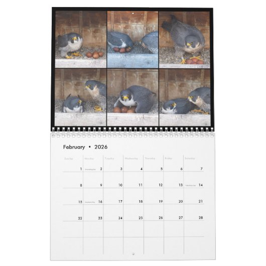 Agenda 2016 - Belangrijkste cursus Kalender (Feb 2026)