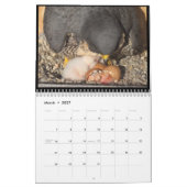 Agenda 2016 - Belangrijkste cursus Kalender (Mar 2027)