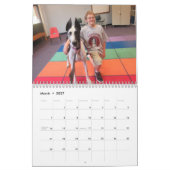 Agenda 2016, Dozer en Vrienden Kalender (Mar 2027)
